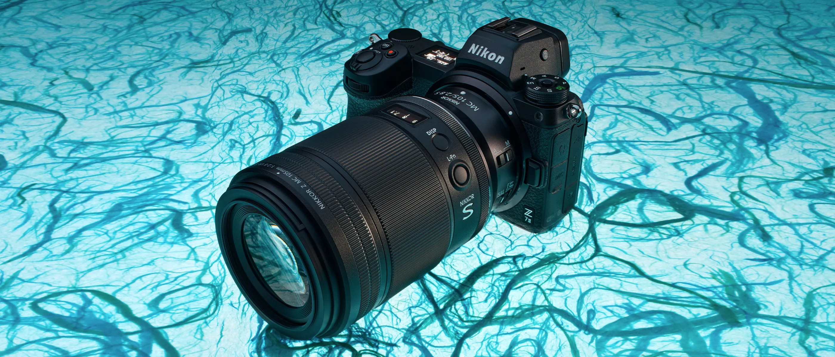 Cathay Photo | Nikon NIKKOR Z MC 105mm f/2.8 VR S