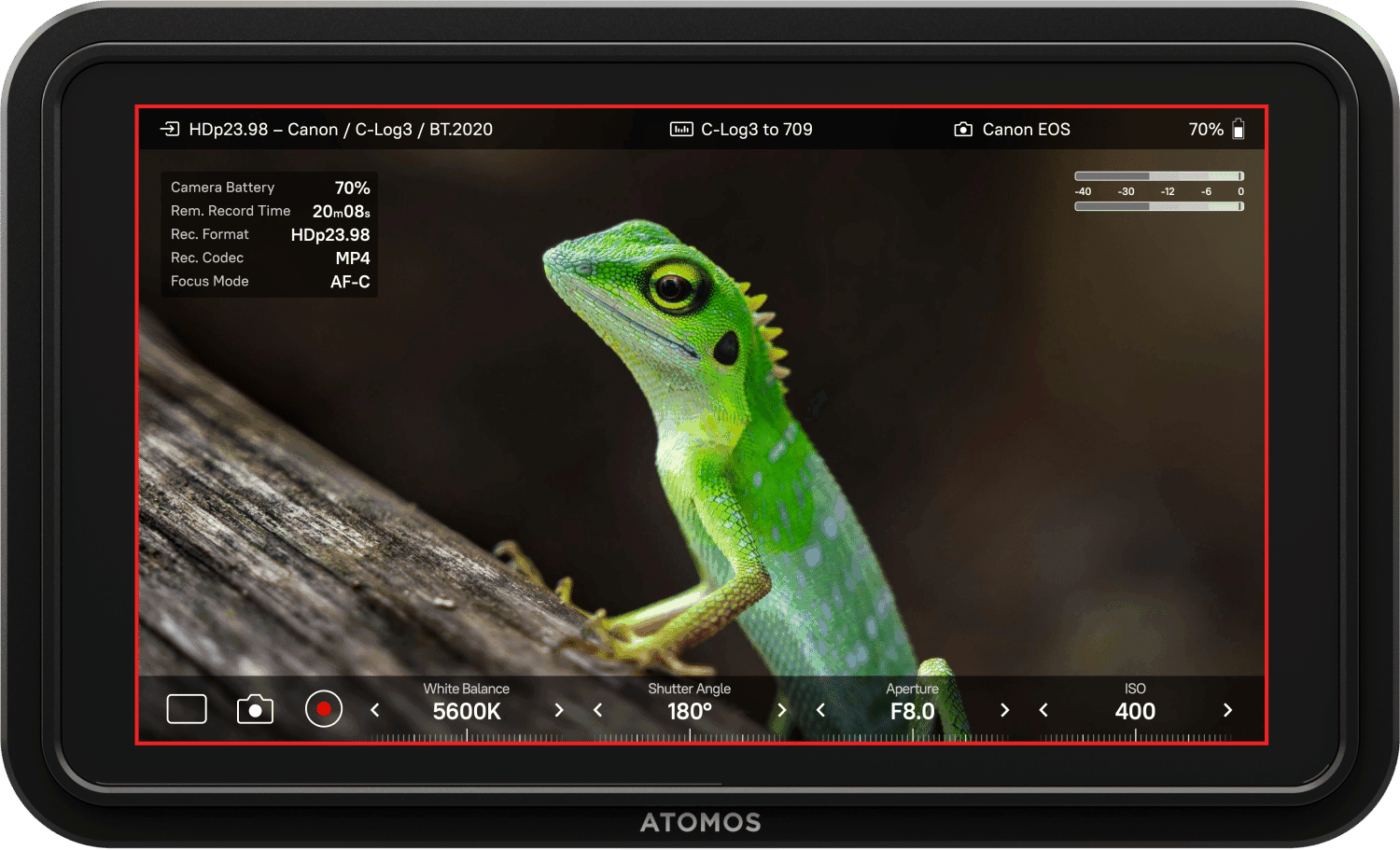 Cathay Photo | Atomos Shinobi II 5.2