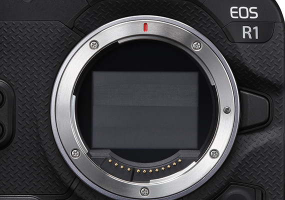 Cathay Photo | Canon EOS R1 Body