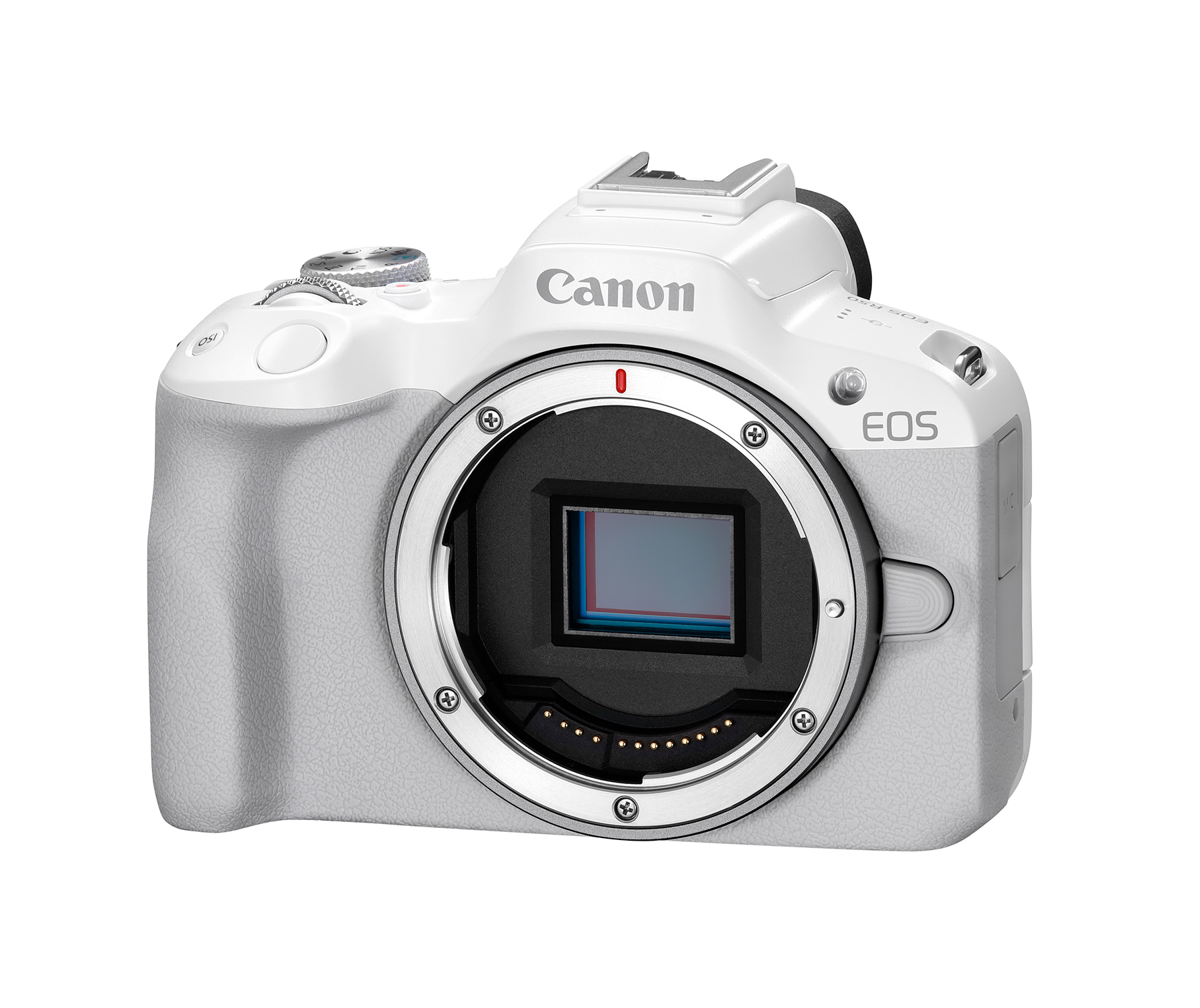 white canon digital camera