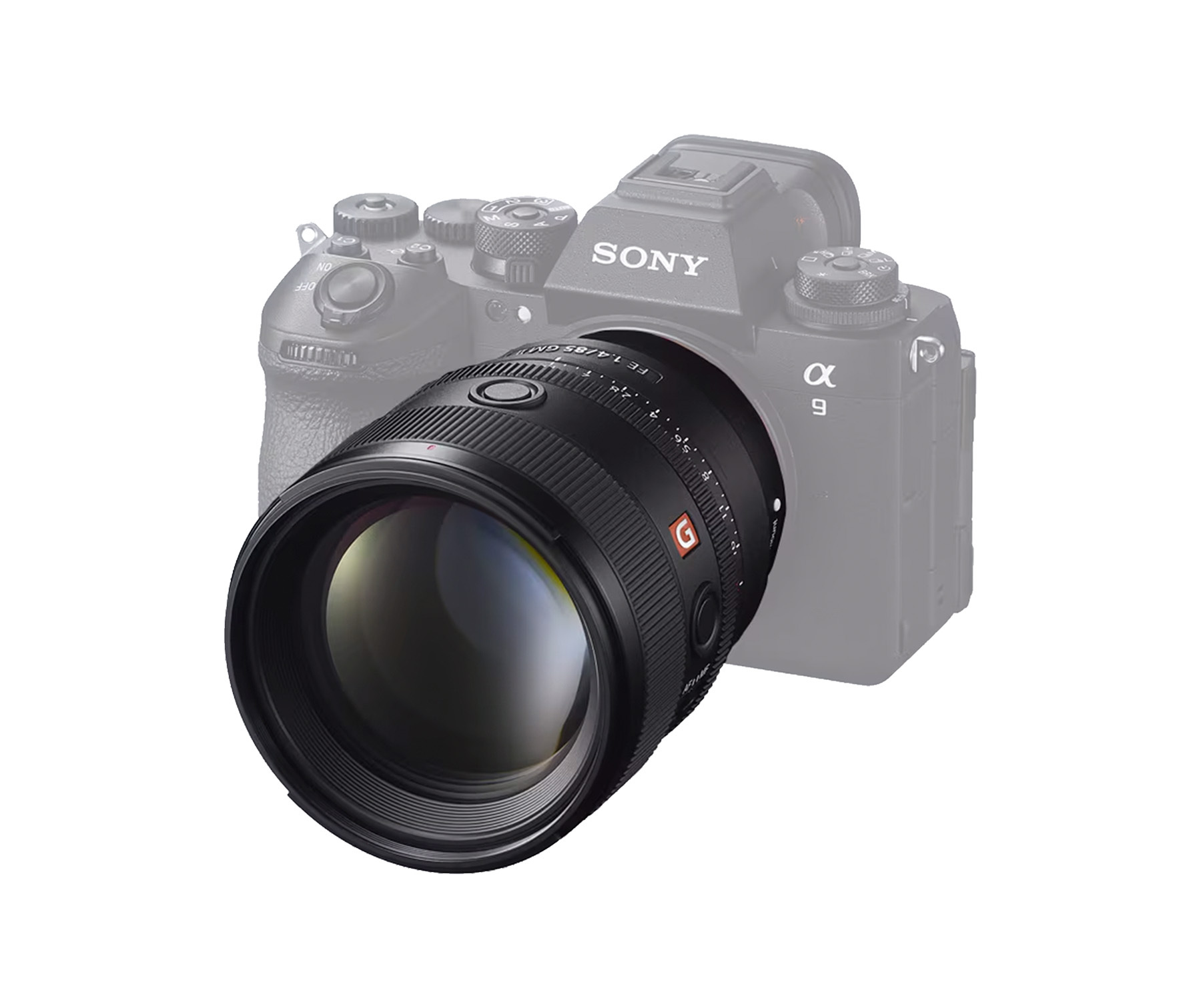 Cathay Photo | Sony FE 85mm F1.4 GM II