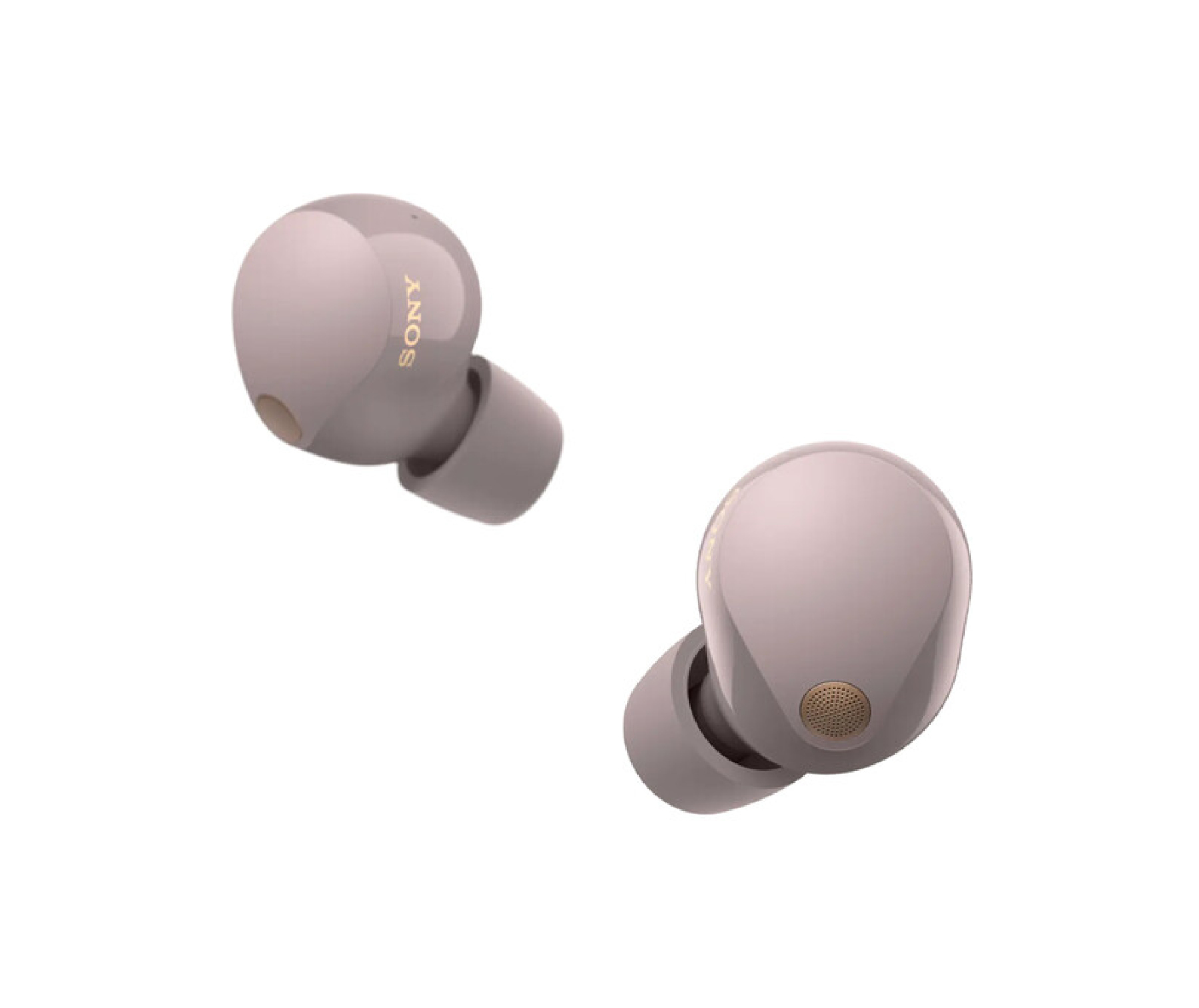 Cathay Photo | Sony WF-1000XM5 Wireless Noise Cancelling Headphones…