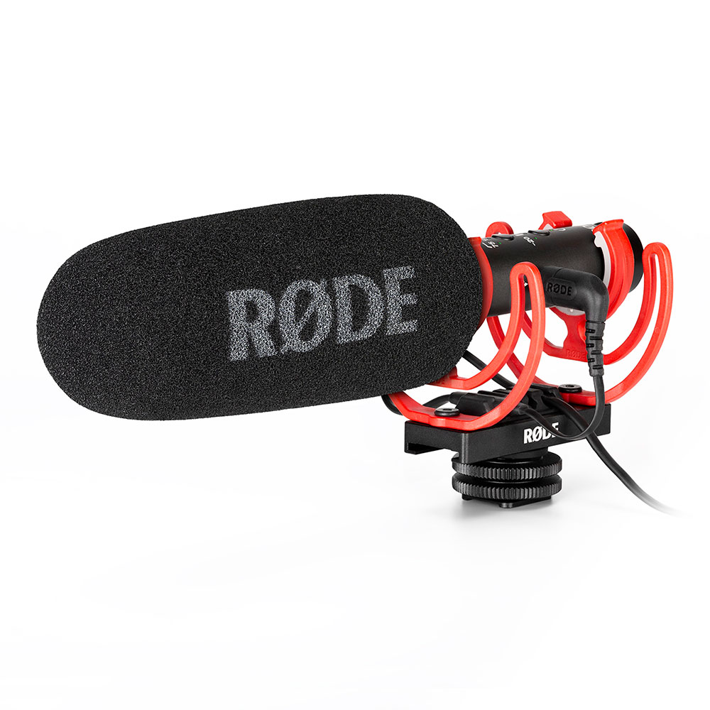 RODE VideoMic NTG ウィンドシールド、ケース付き Cathay Photo | RODE VideoMic NTG On-Camera Shotgun Microphone