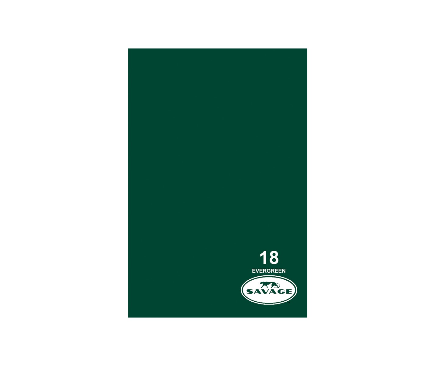 Savage Seamless Background Paper, Tech Green