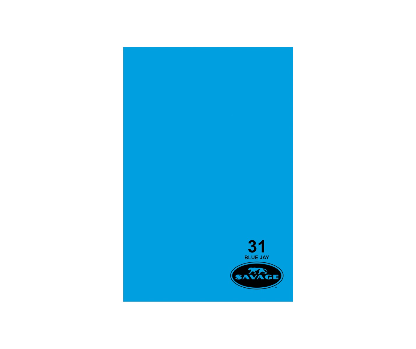 Savage #47 Baby Blue Seamless Background Paper (26 x 36')