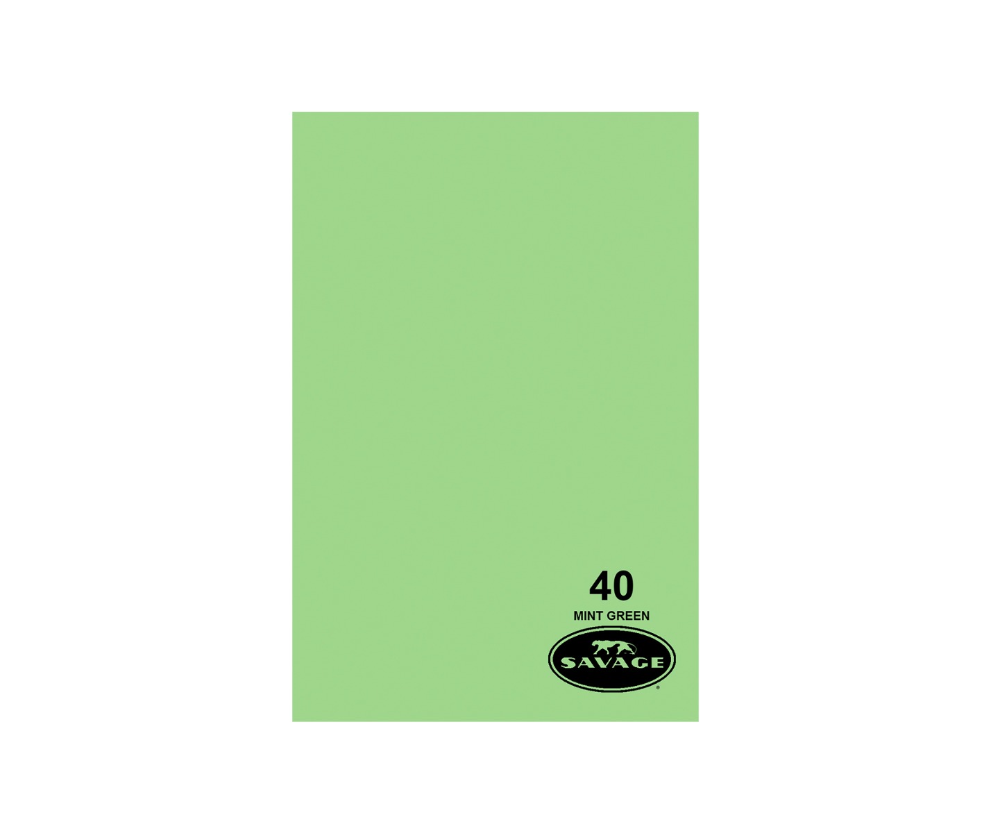 Savage #40 Mint Green Seamless Background Paper (107 x 36')