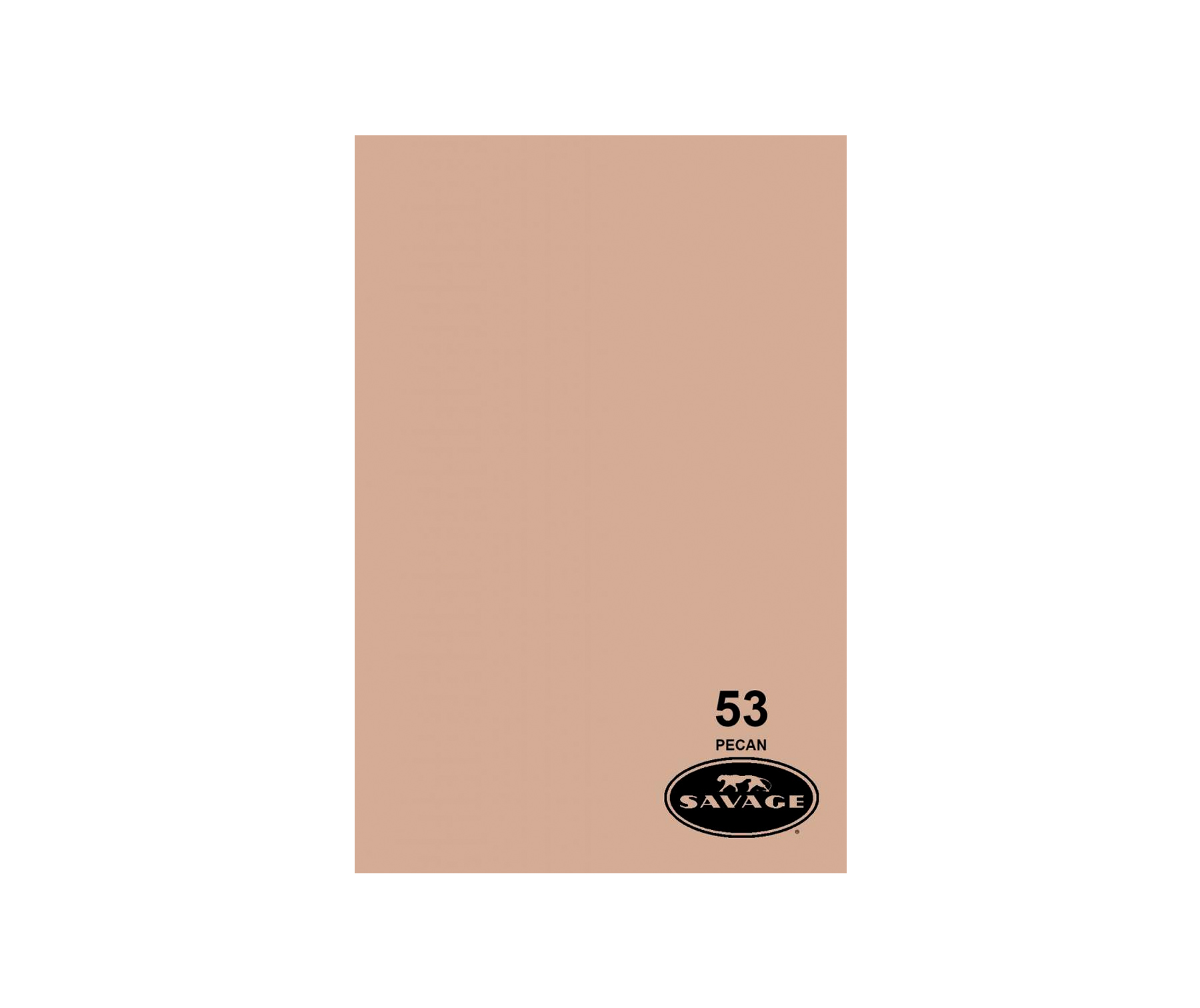 Cathay Photo Savage Widetone Seamless Background Paper (53 Pecan,…