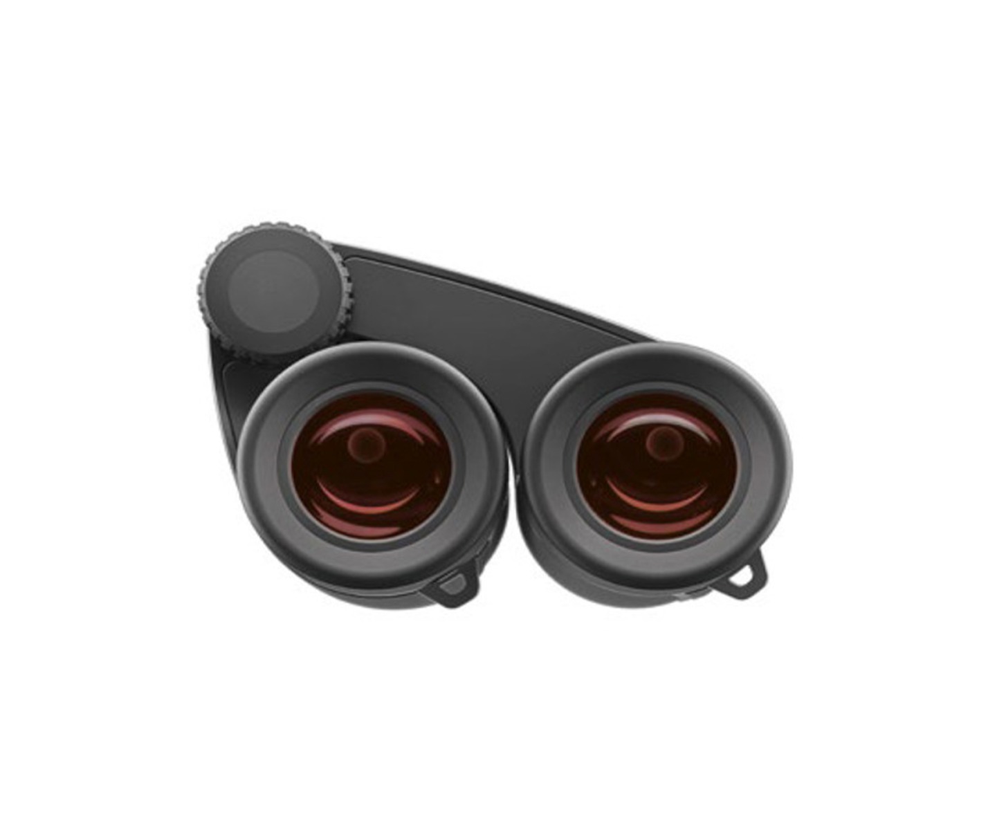 Cathay Photo | ZEISS 8x25 Victory Pocket Binoculars